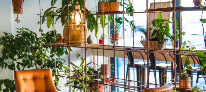 Plantas para tu lugar de teletrabajo Plantas para tu lugar de teletrabajo